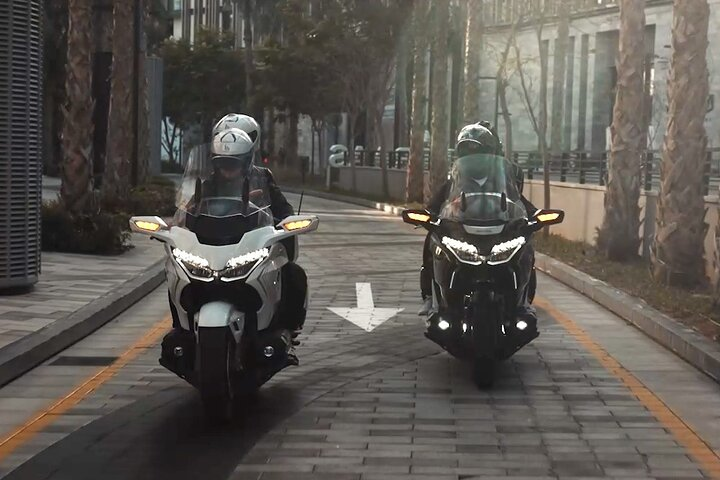 Experience the freedom of cruising through Dubai's stunning landscapes on a premium motorcycle tour where every turn reveals a new perspective of the city's charm.